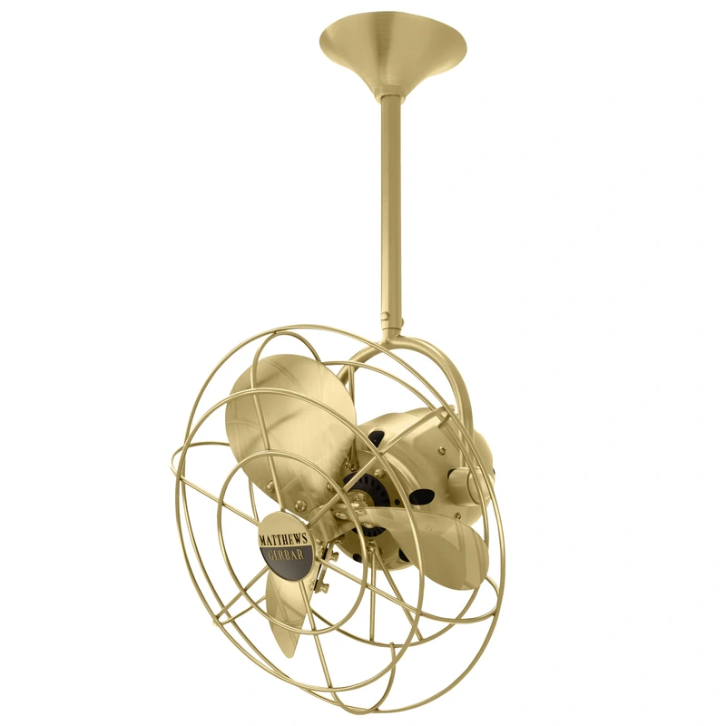 16″ Ceiling Fan from the Bianca Direcional Collection in Brushed Brass Finish by Matthews Fan Company