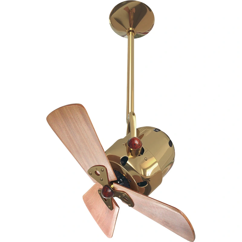 16″ Ceiling Fan from the Bianca Direcional Collection in Polished Brass Finish by Matthews Fan Company